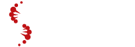 Eureka Science
